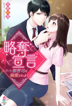 略奪宣言~エリート御曹司に溺愛されました~