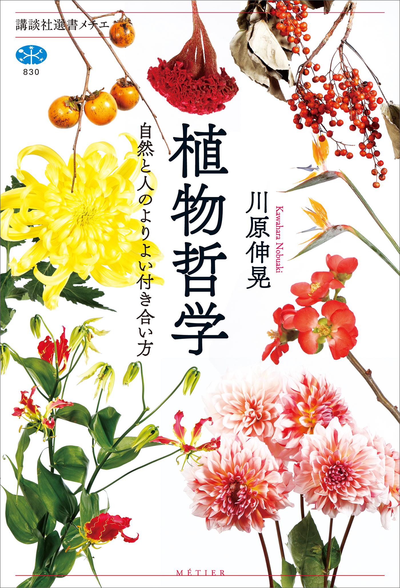 植物哲学　自然と人のよりよい付き合い方
