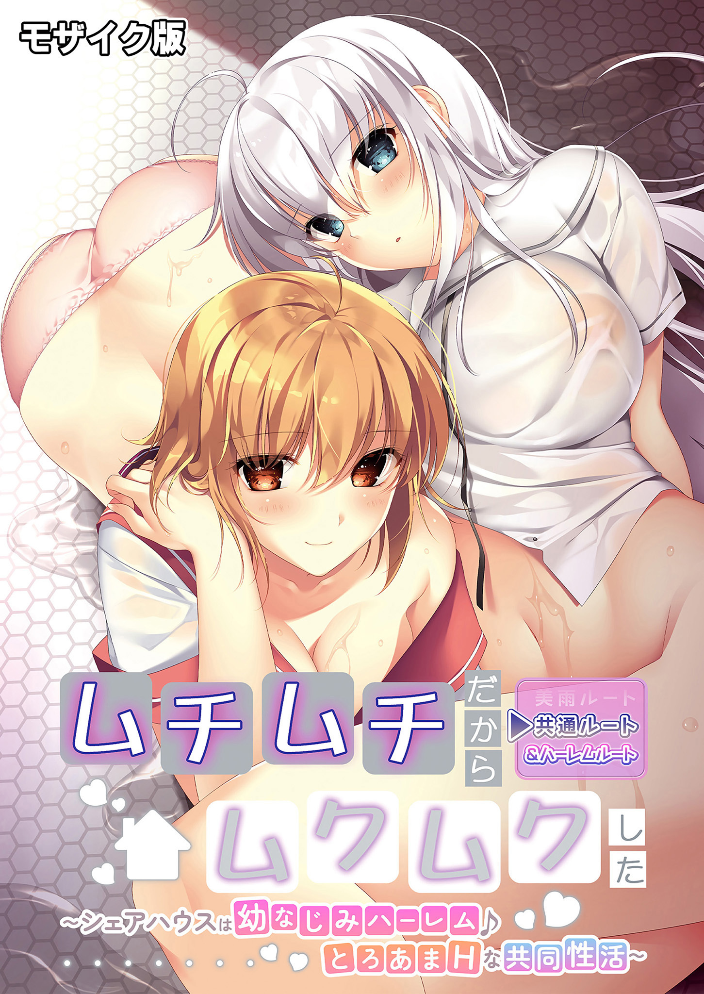 ムチムチだからムクムクした ～シェアハウスは幼なじみハーレム♪とろあまHな共同性活～ 共通＆ハーレムルート モザイク版