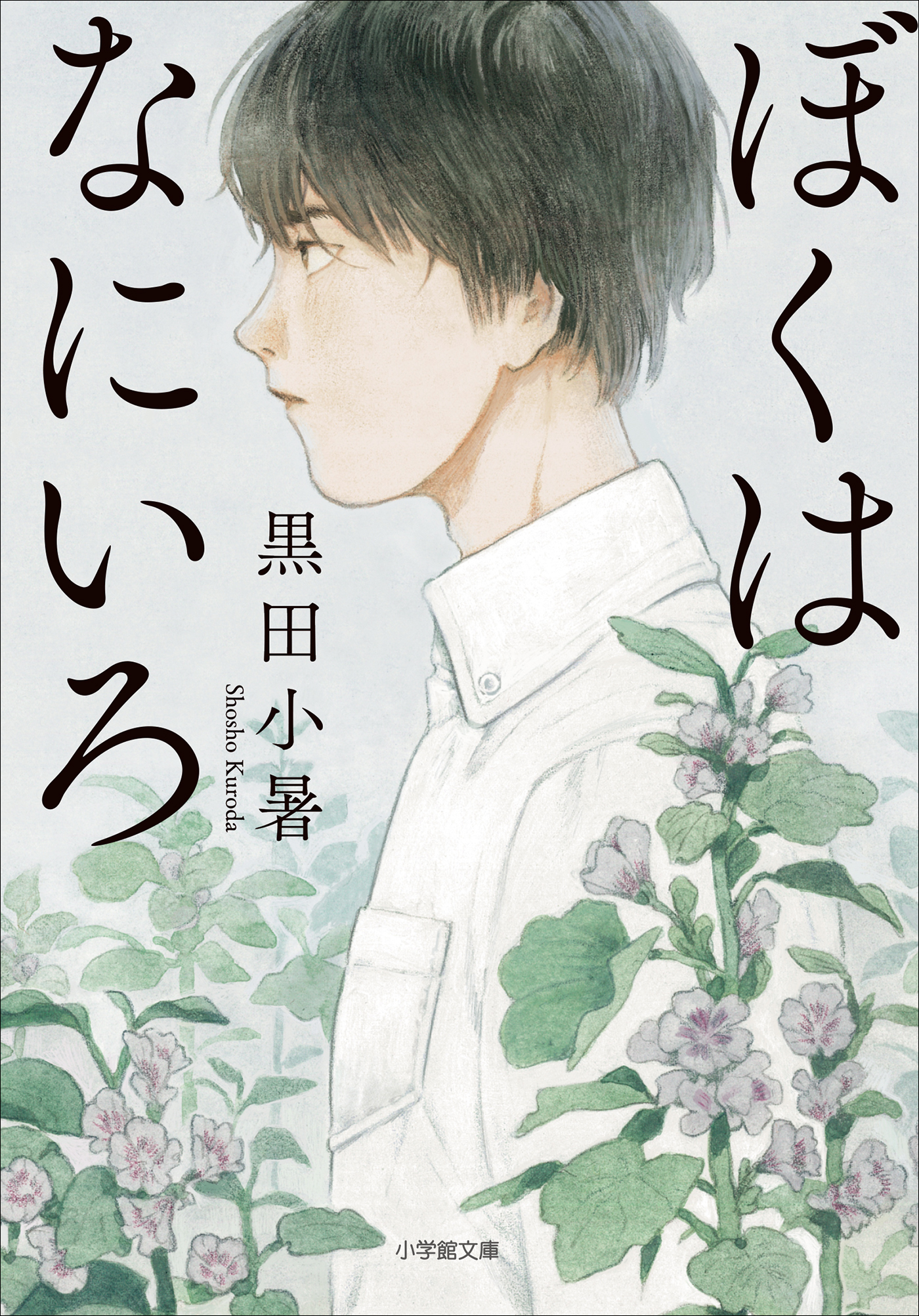 ぼくはなにいろ