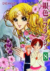 銀色のフラッシュ