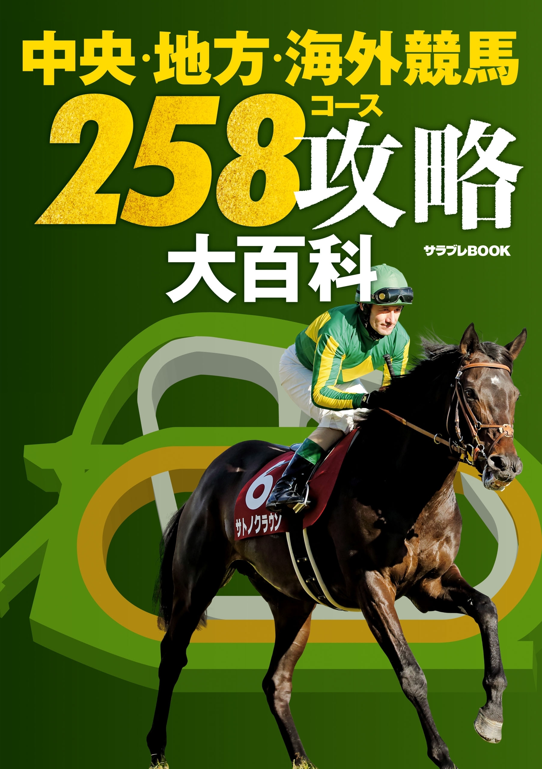中央・地方・海外競馬　258コース攻略大百科