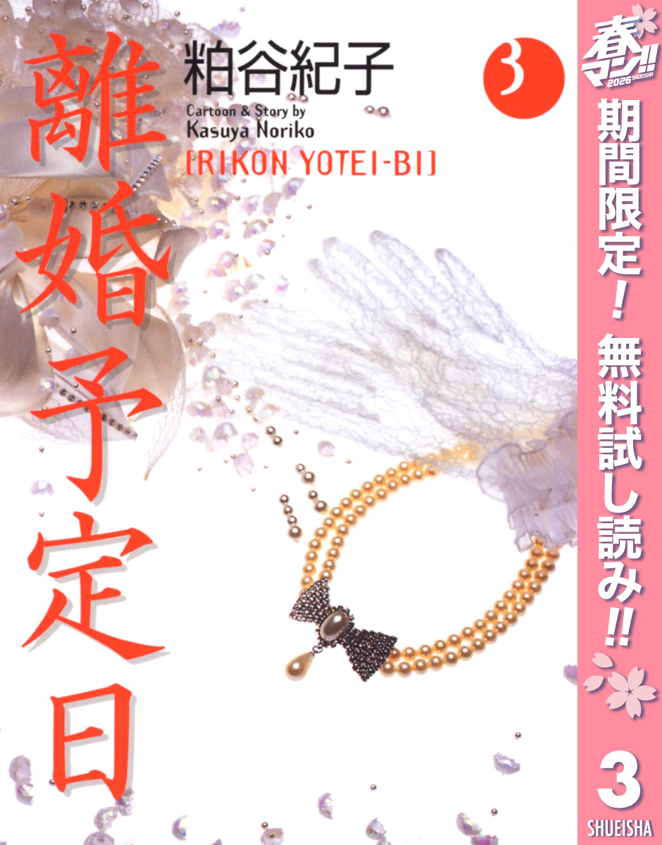 離婚予定日【期間限定無料】 3
