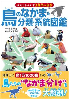 鳥のなかま&分類・系統図鑑