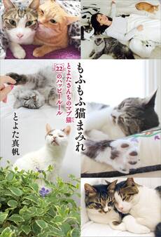 もふもふ猫まみれ とよたさんちのマブ猫 22のハッピールール