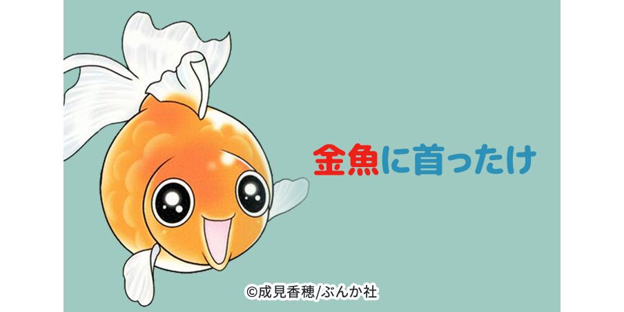 11話無料 金魚に首ったけ 分冊版 無料連載 Amebaマンガ 旧 読書のお時間です 11話無料 金魚に首ったけ 分冊版 無料連載 Amebaマンガ 旧 読書のお時間です
