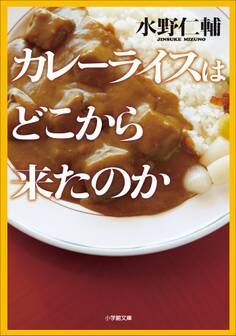 カレーライスはどこから来たのか