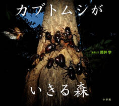 カブトムシがいきる森(小学館の図鑑NEOの科学絵本)