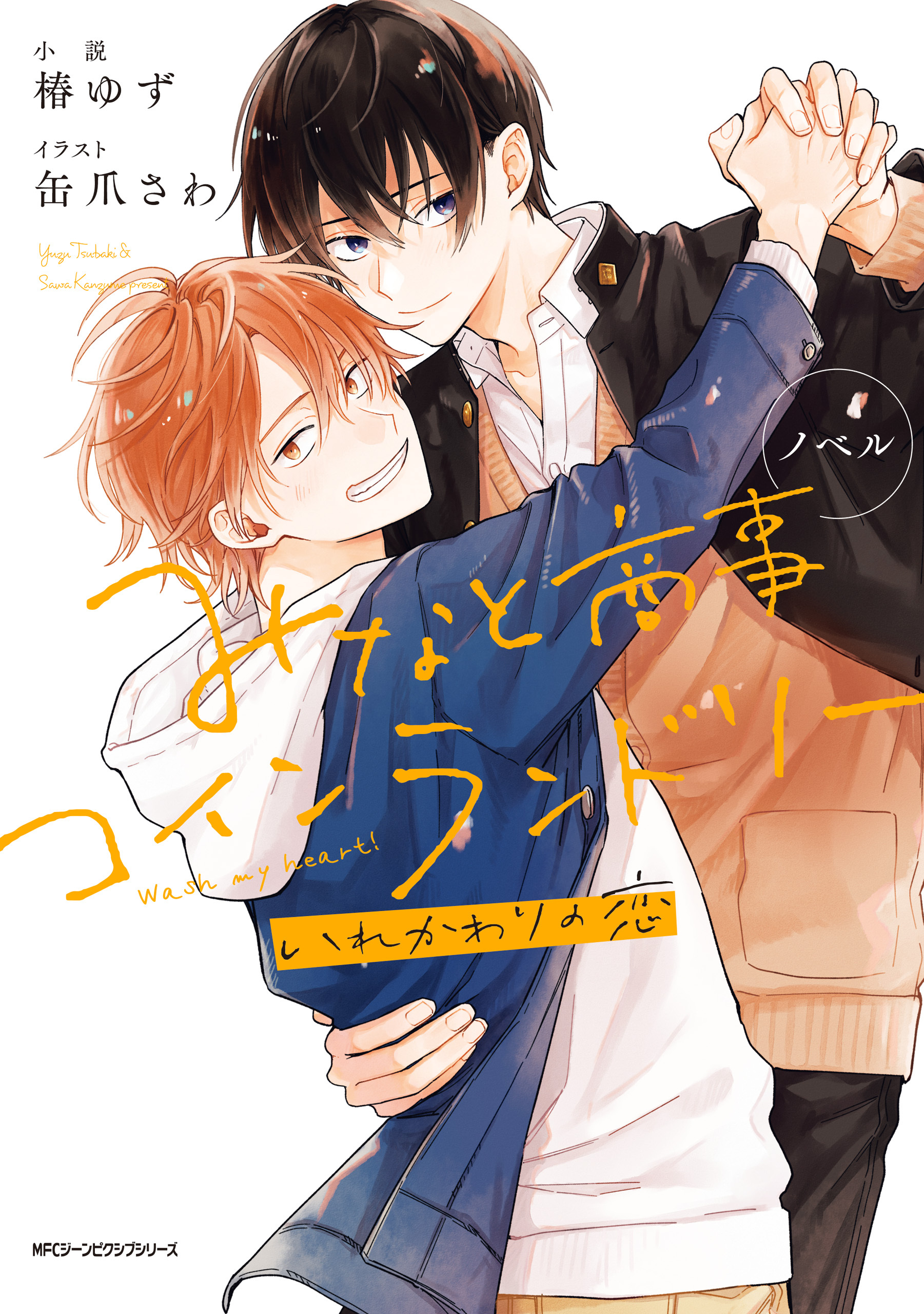 ノベル みなと商事コインランドリー　いれかわりの恋