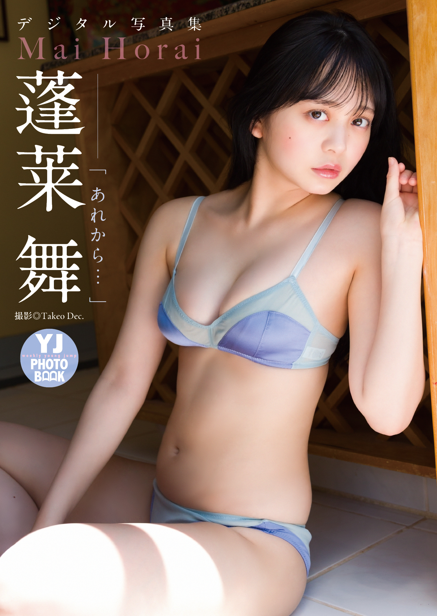 【デジタル限定 YJ PHOTO BOOK】蓬莱舞写真集「あれから…」