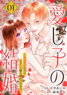 愛し子の結婚~偽装契約なのにエリート騎士様が甘すぎる~【電子単行本版/特典おまけ付き】