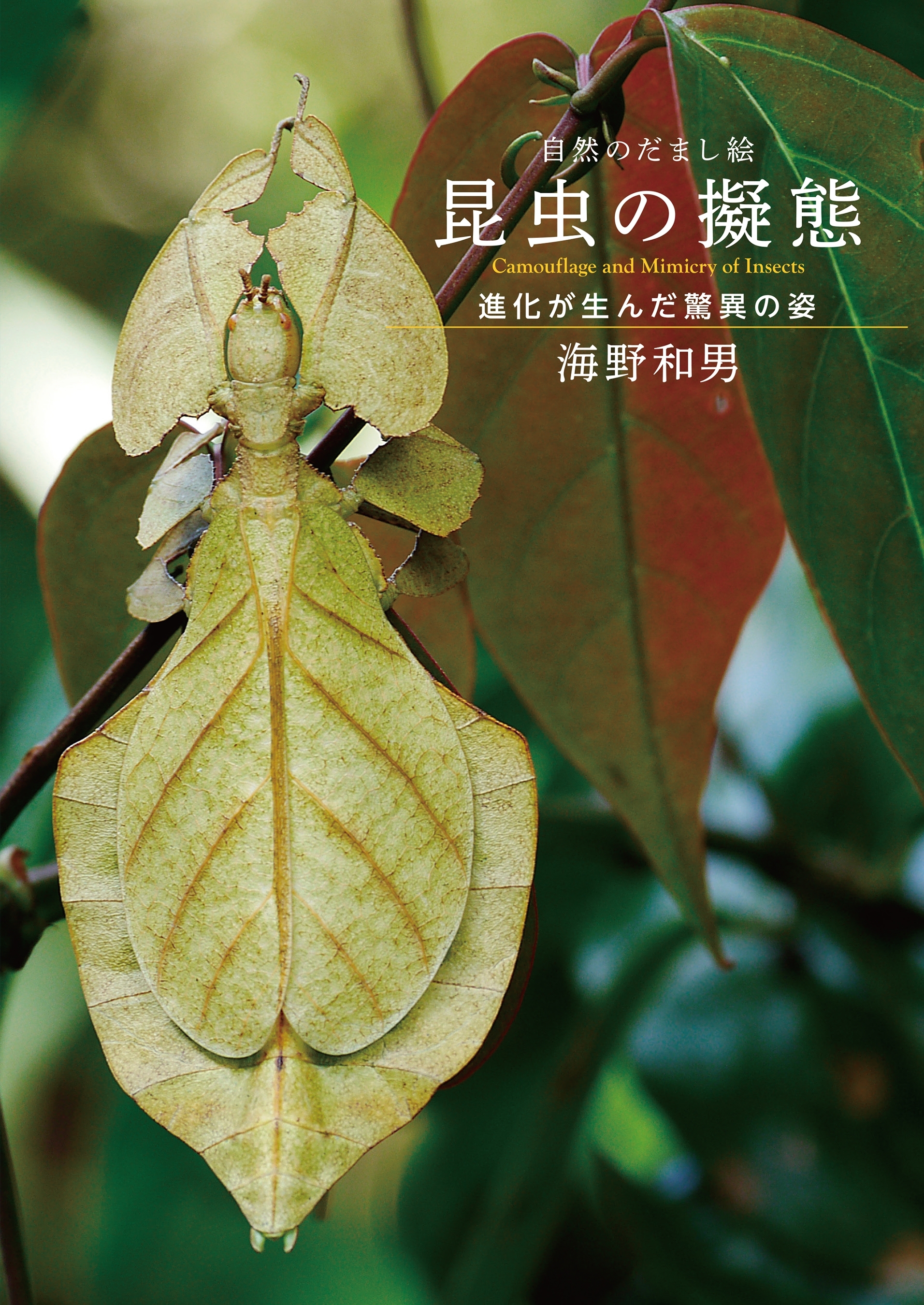 自然のだまし絵 昆虫の擬態