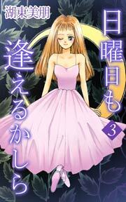日曜日も逢えるかしら　3巻