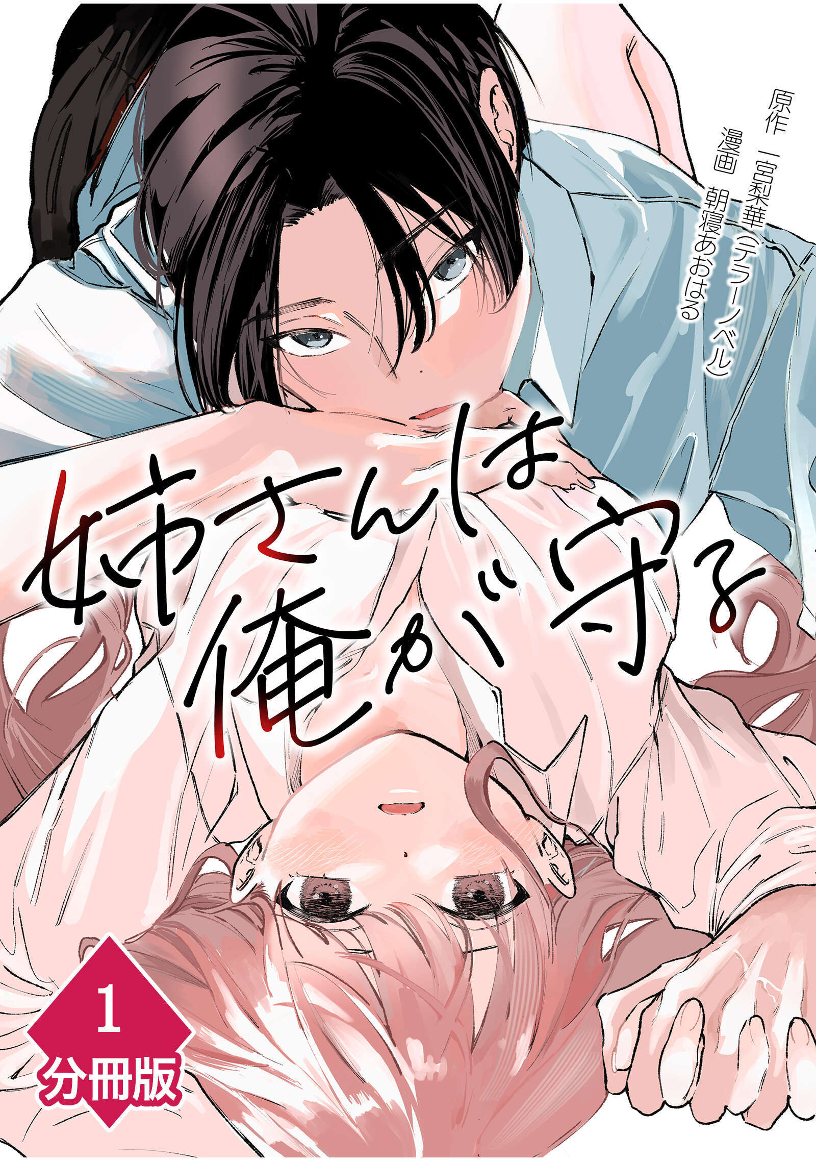 【期間限定　無料お試し版】姉さんは俺が守る【分冊版】（1）