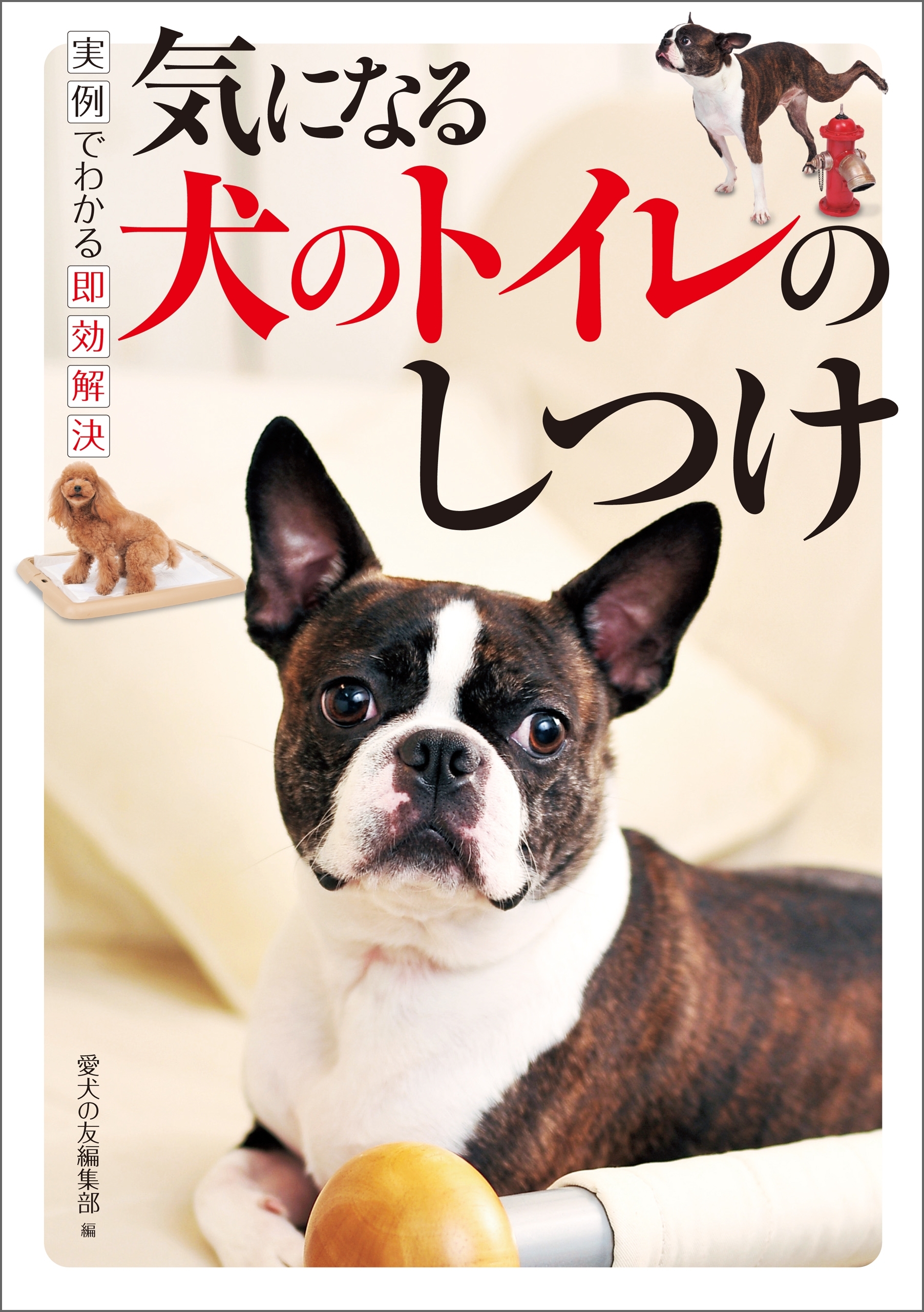 気になる犬のトイレのしつけ