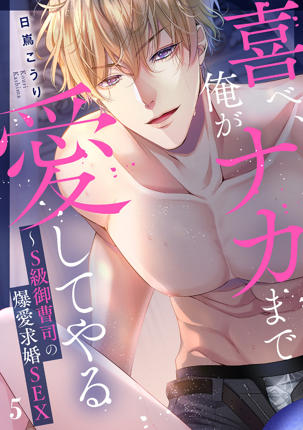 喜べ、俺がナカまで愛してやる～S級御曹司の爆愛求婚SEX５