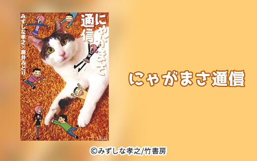 13話無料 カラス飼っちゃいました 無料連載 Amebaマンガ 旧 読書のお時間です 13話無料 カラス飼っちゃいました 無料連載 Amebaマンガ 旧 読書のお時間です