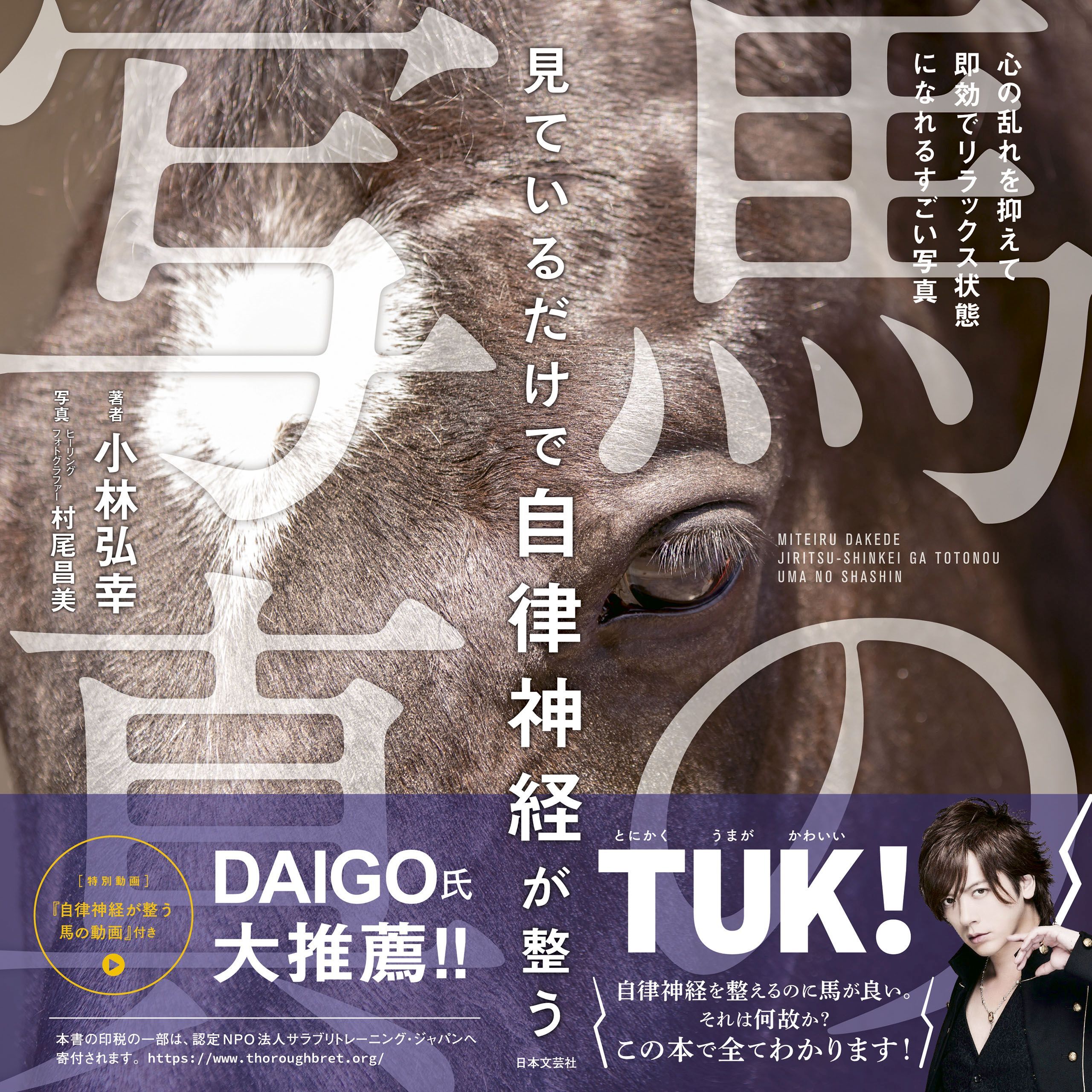 見ているだけで自律神経が整う馬の写真