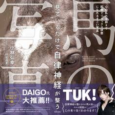 見ているだけで自律神経が整う馬の写真