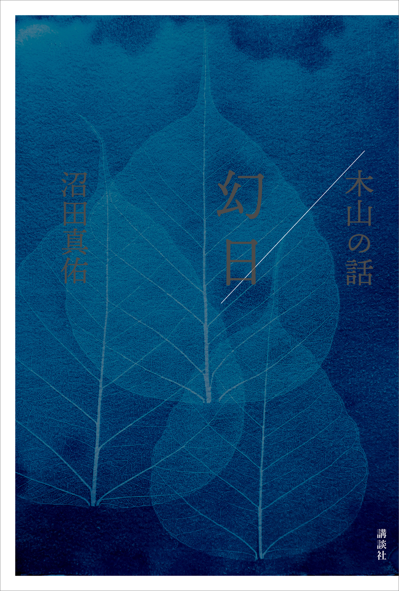 幻日／木山の話