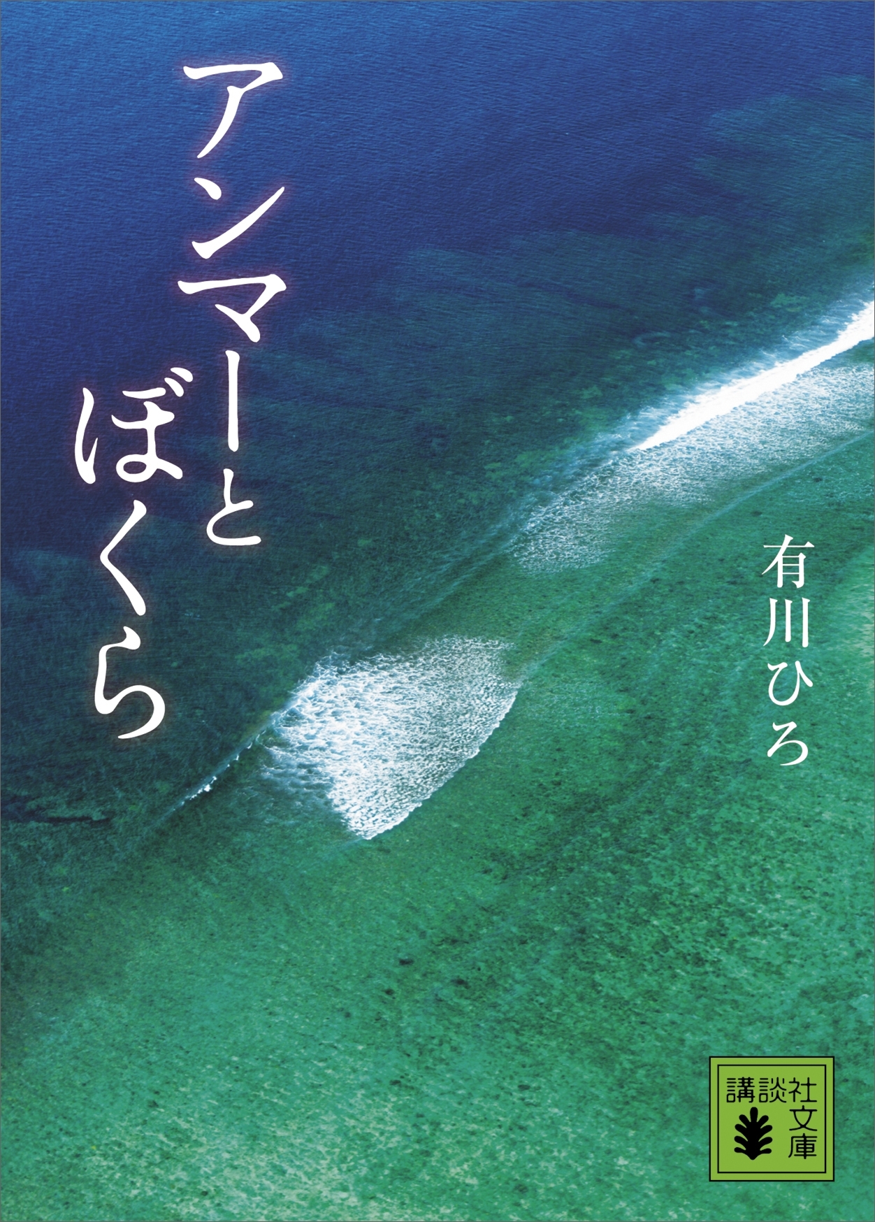 アンマーとぼくら