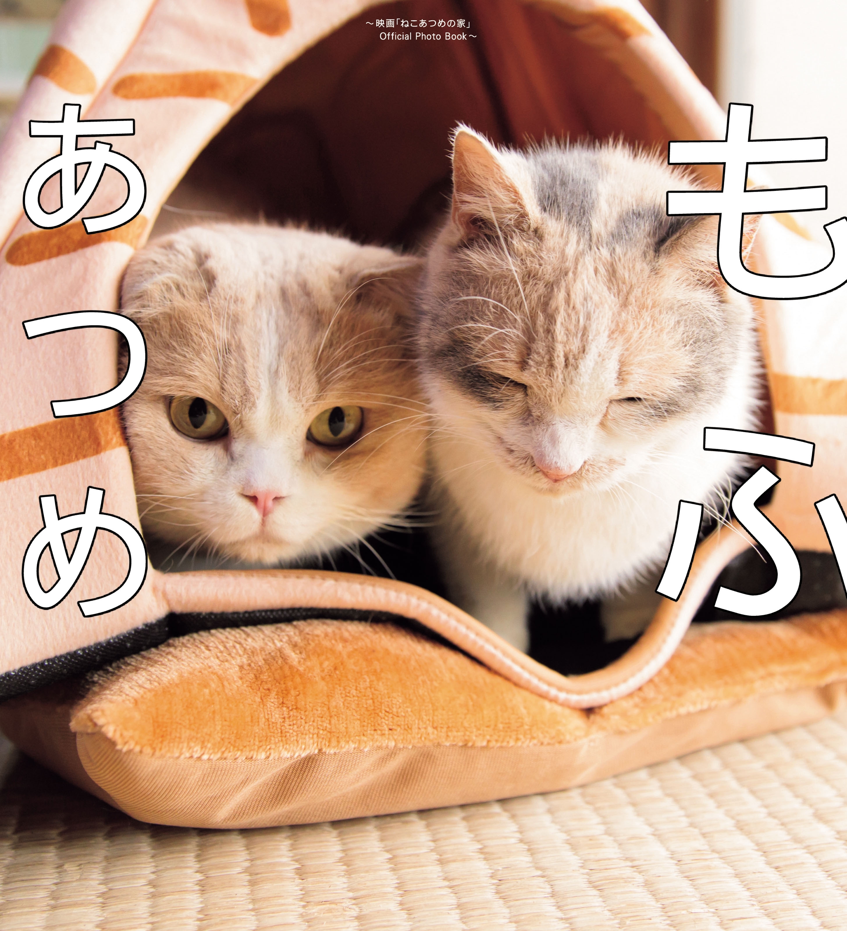 もふあつめ　～映画「ねこあつめの家」Official Photo Book～