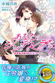 あなたのシンデレラ 若社長の強引なエスコート