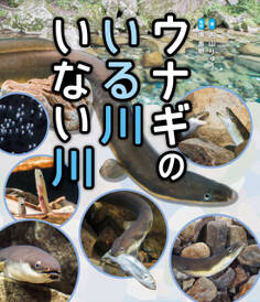 ウナギのいる川いない川