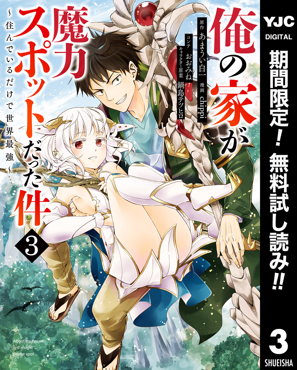 俺の家が魔力スポットだった件 ～住んでいるだけで世界最強～【期間限定無料】 3