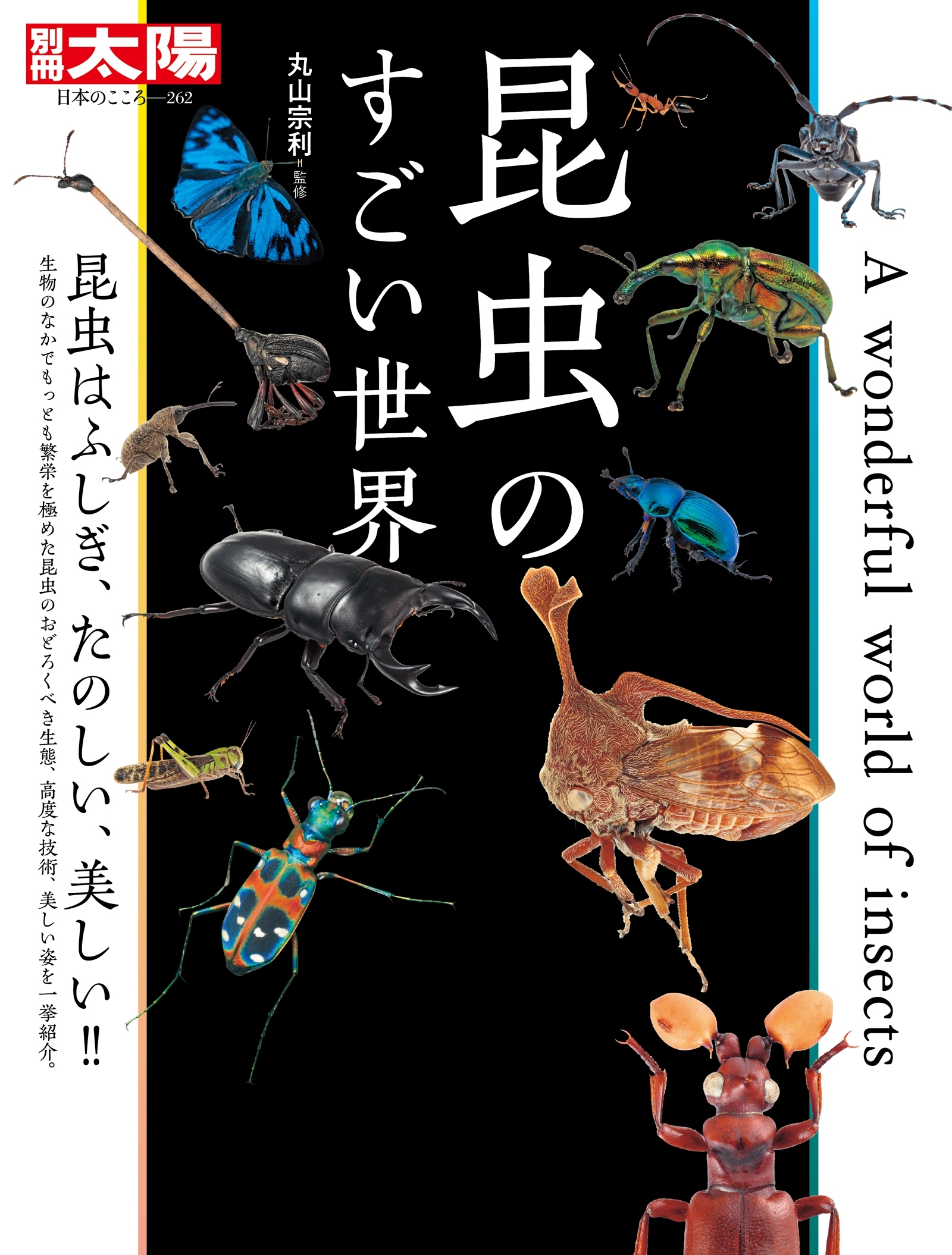 昆虫のすごい世界