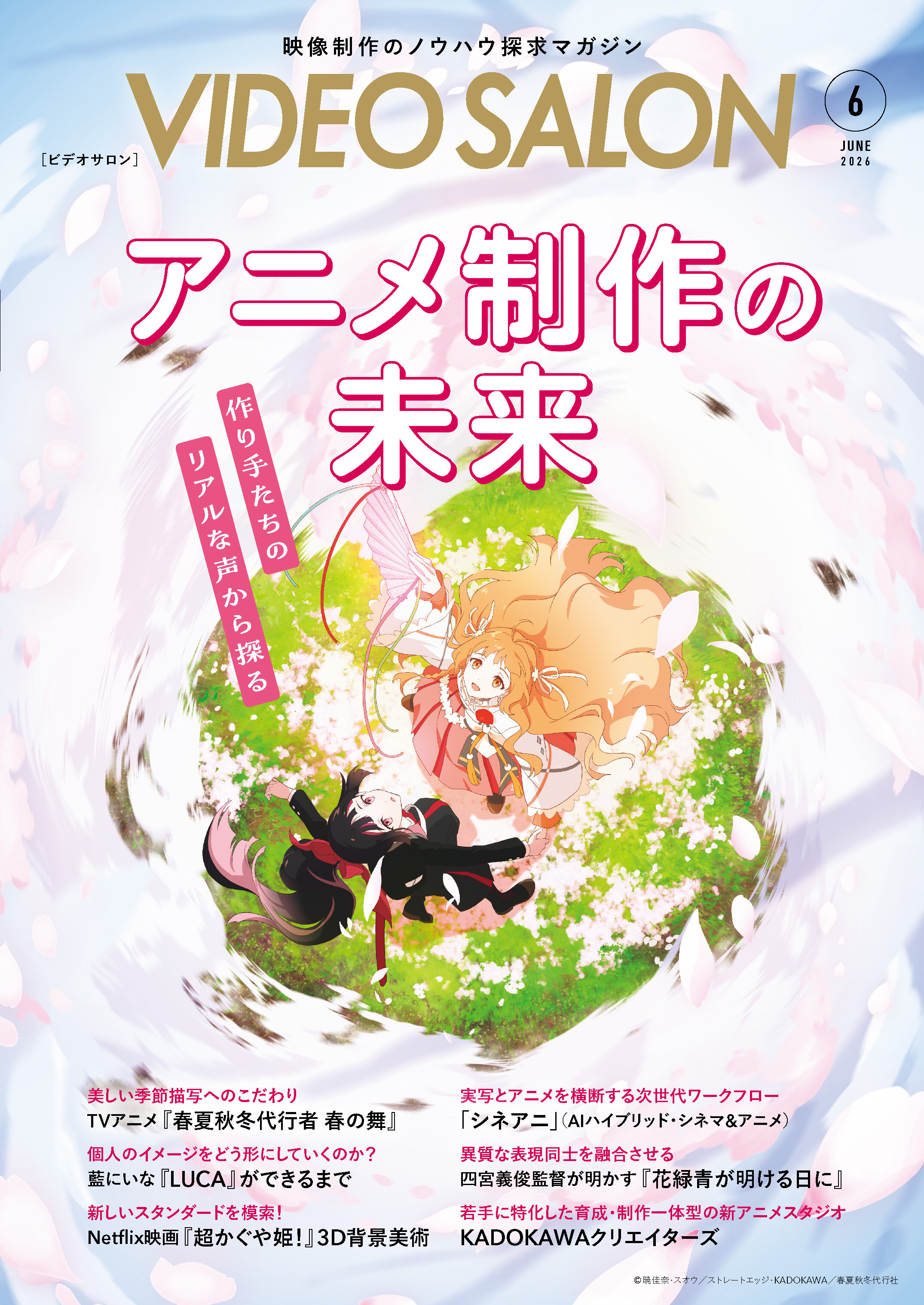 ビデオサロン