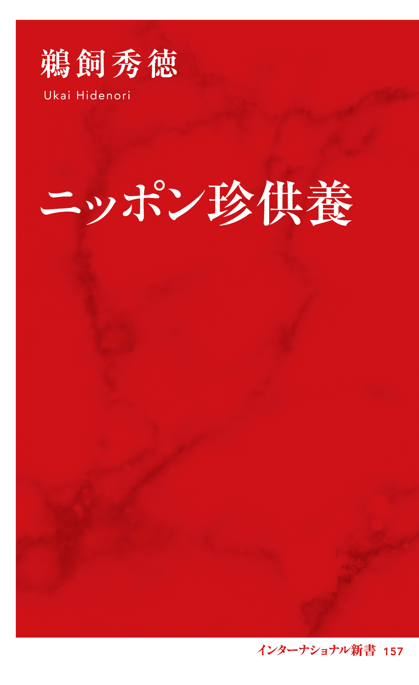 ニッポン珍供養（インターナショナル新書）