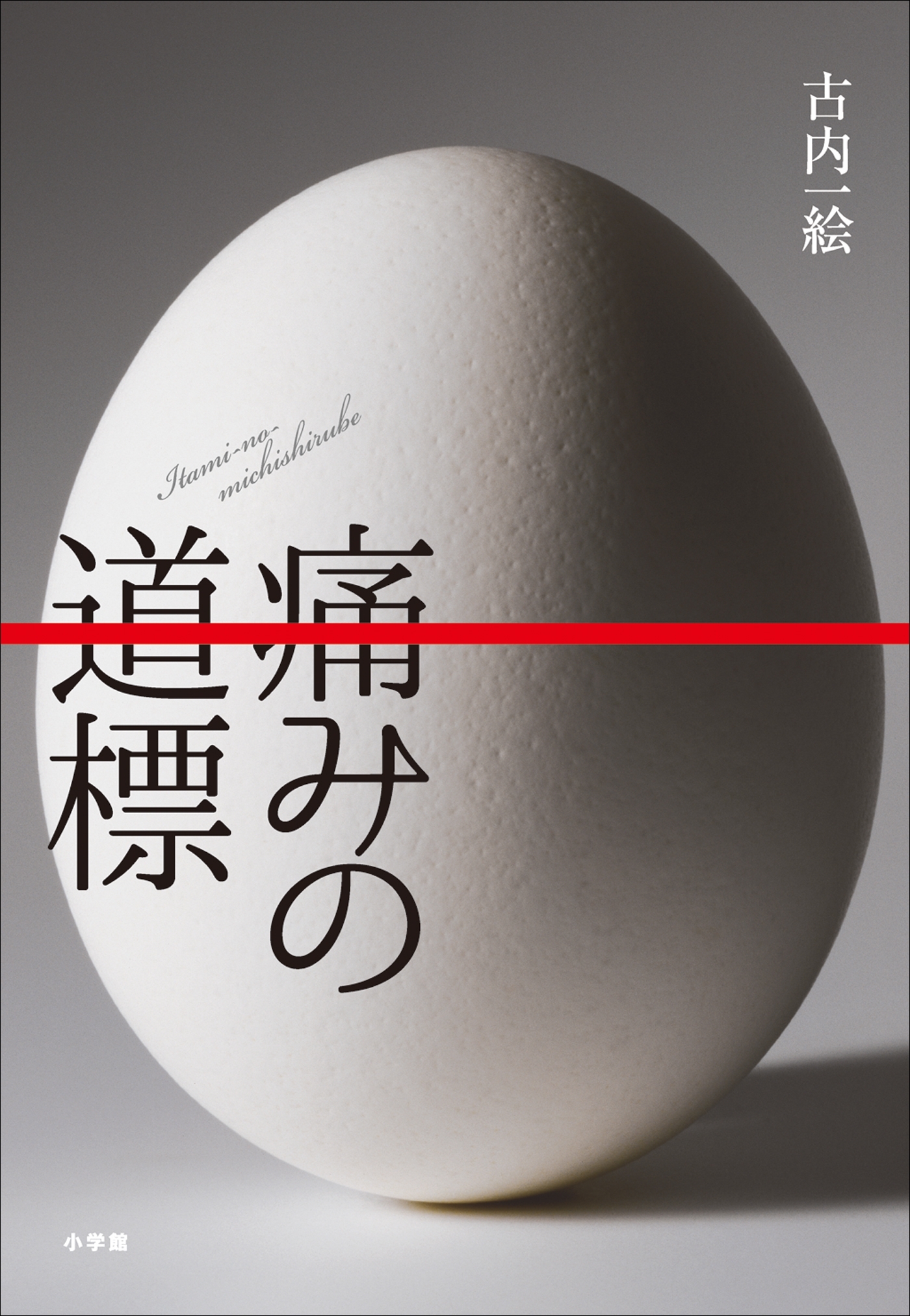 痛みの道標