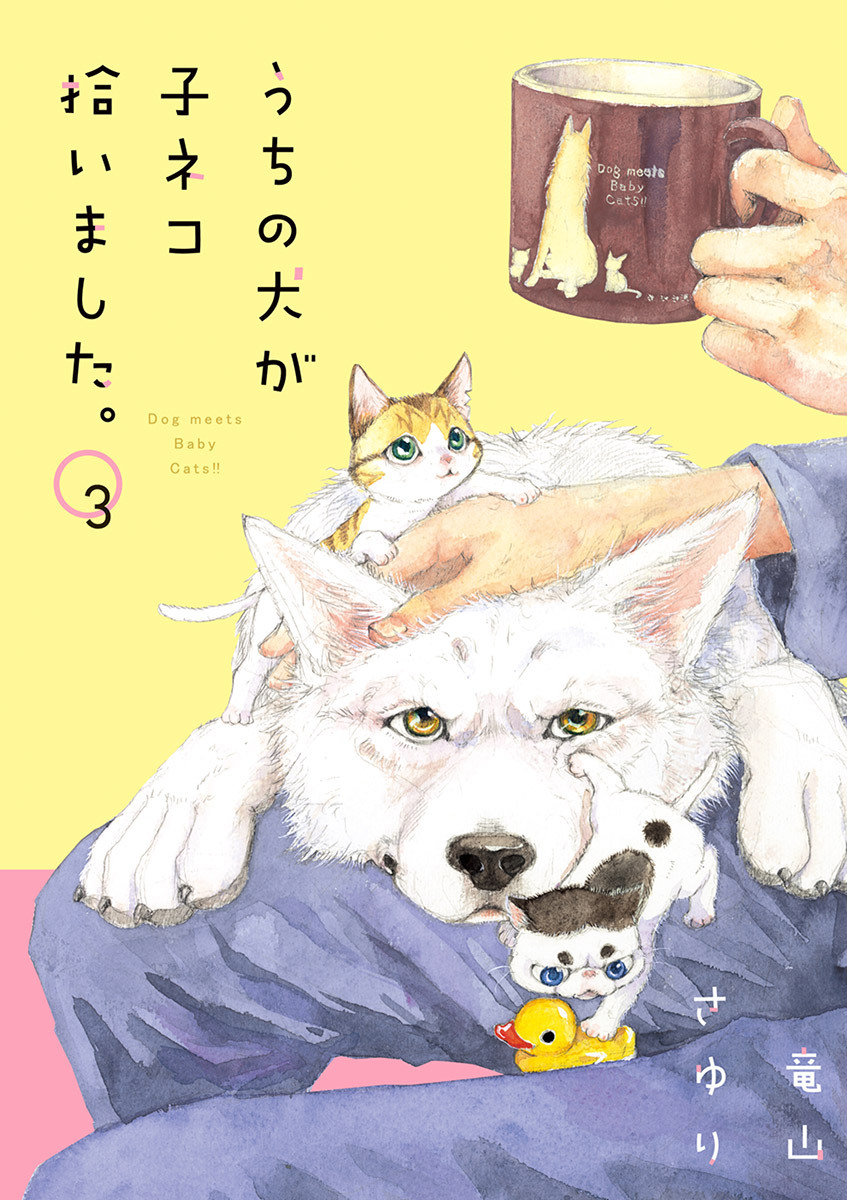 【期間限定　無料お試し版　閲覧期限2026年10月8日】うちの犬が子ネコ拾いました。　3