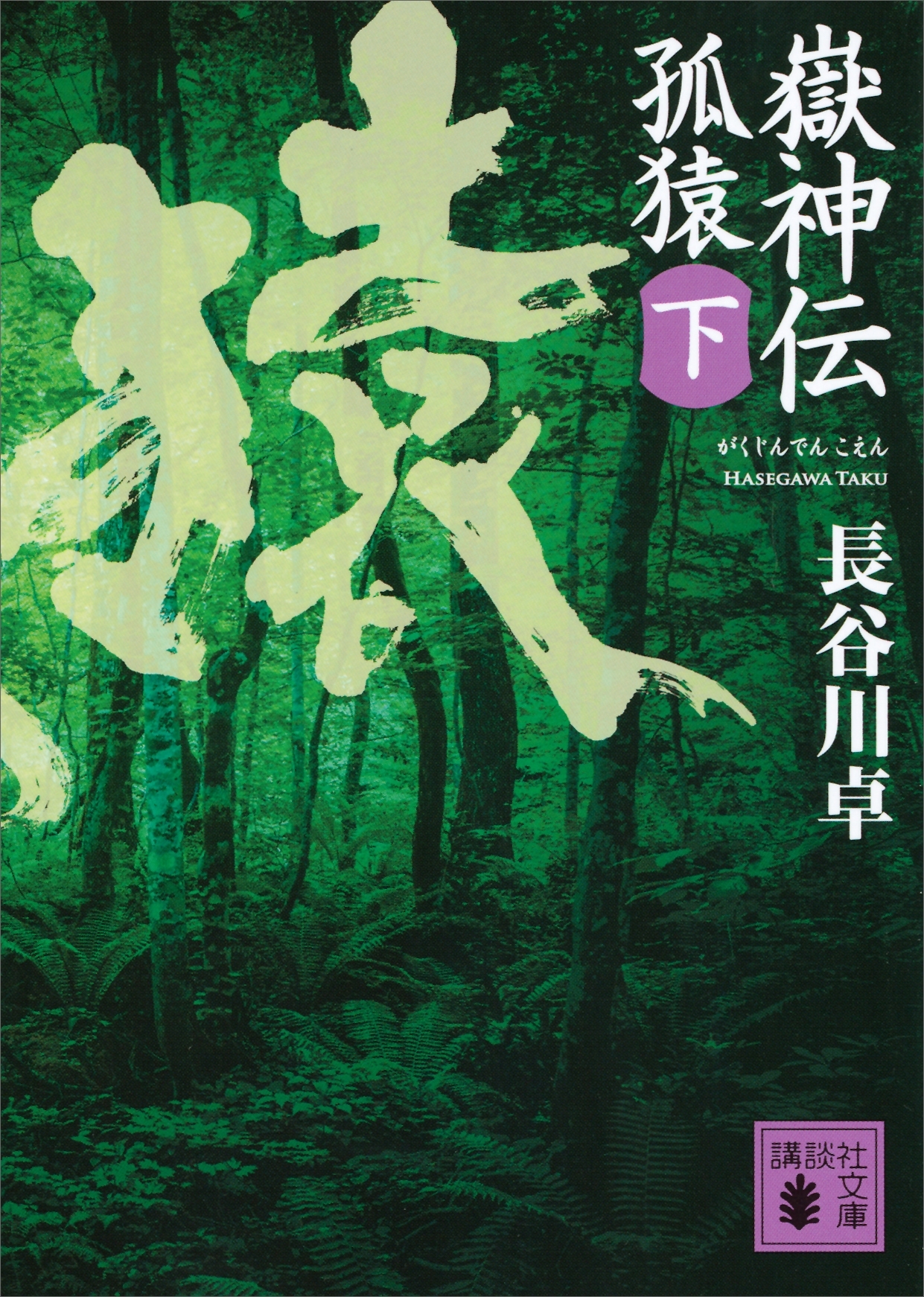 嶽神伝　孤猿