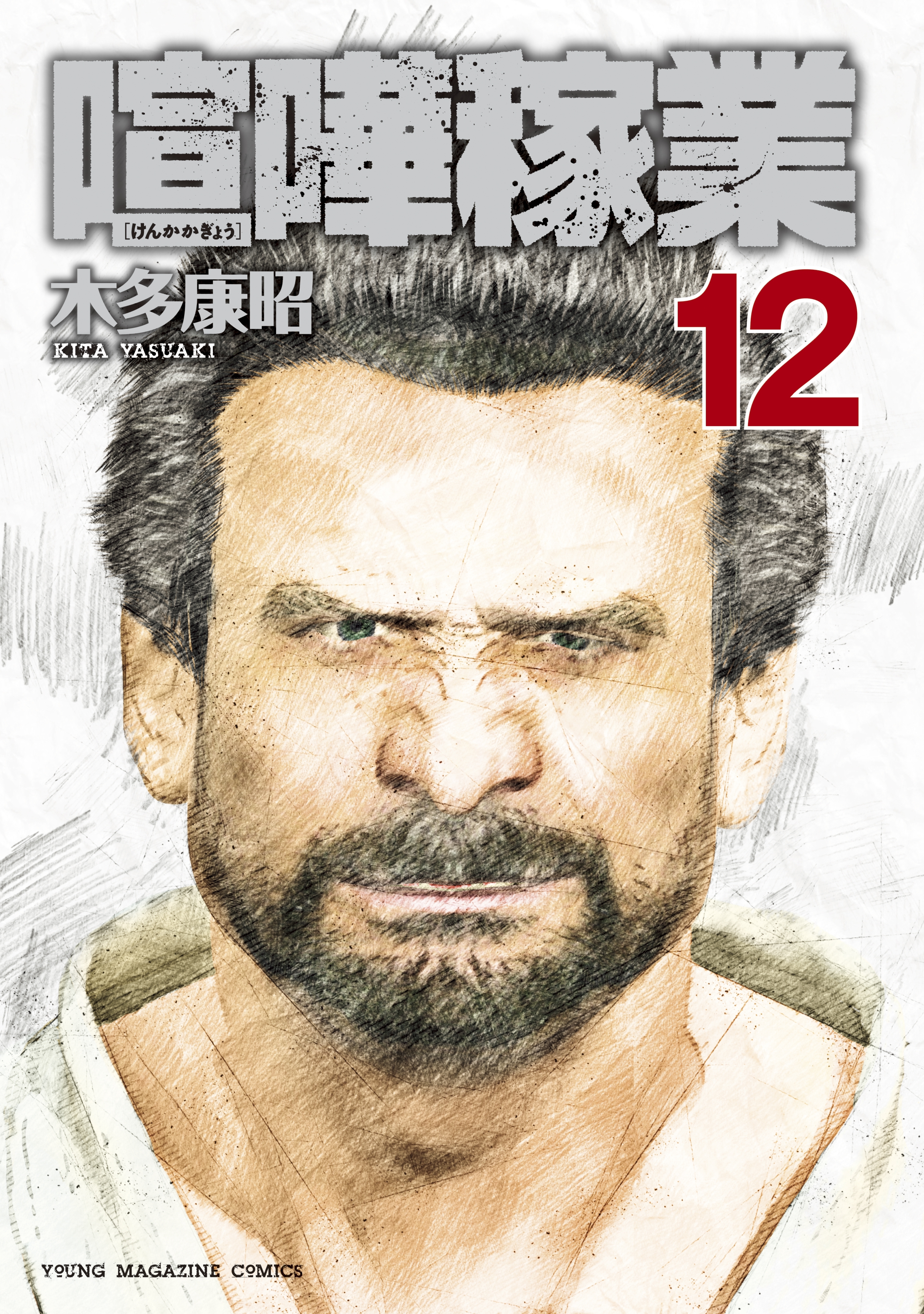 喧嘩稼業（12）