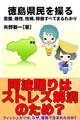 徳島県民を操る{恋愛、相性、性格、特徴すべてまるわかり}