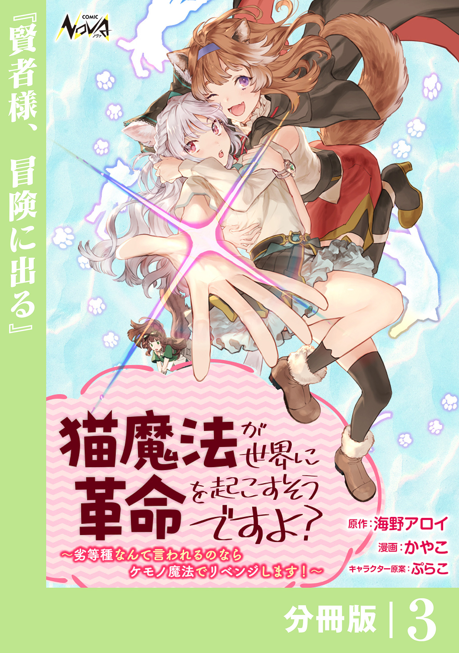 猫魔法が世界に革命を起こすそうですよ？【分冊版】（ノヴァコミックス）３