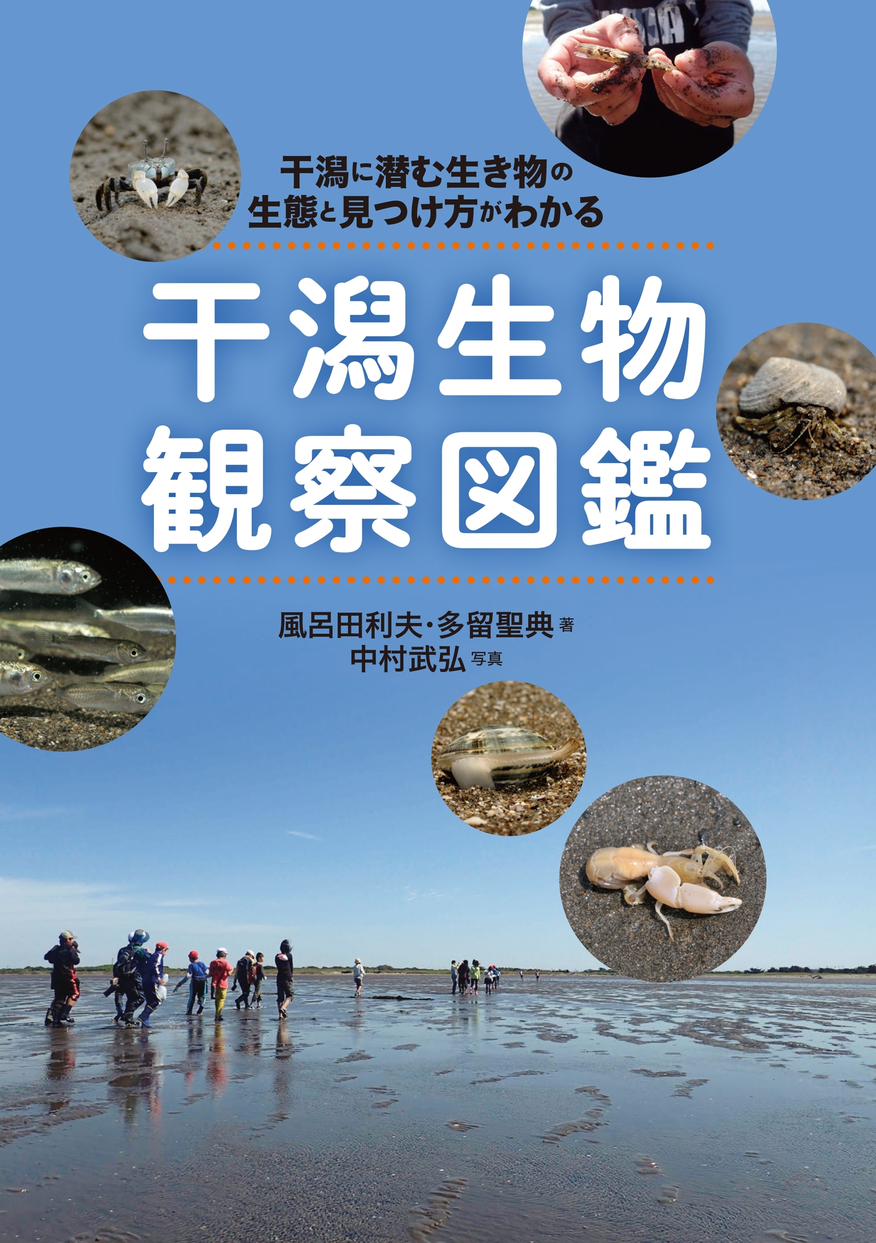 干潟生物観察図鑑