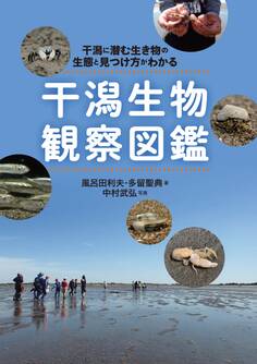 干潟生物観察図鑑