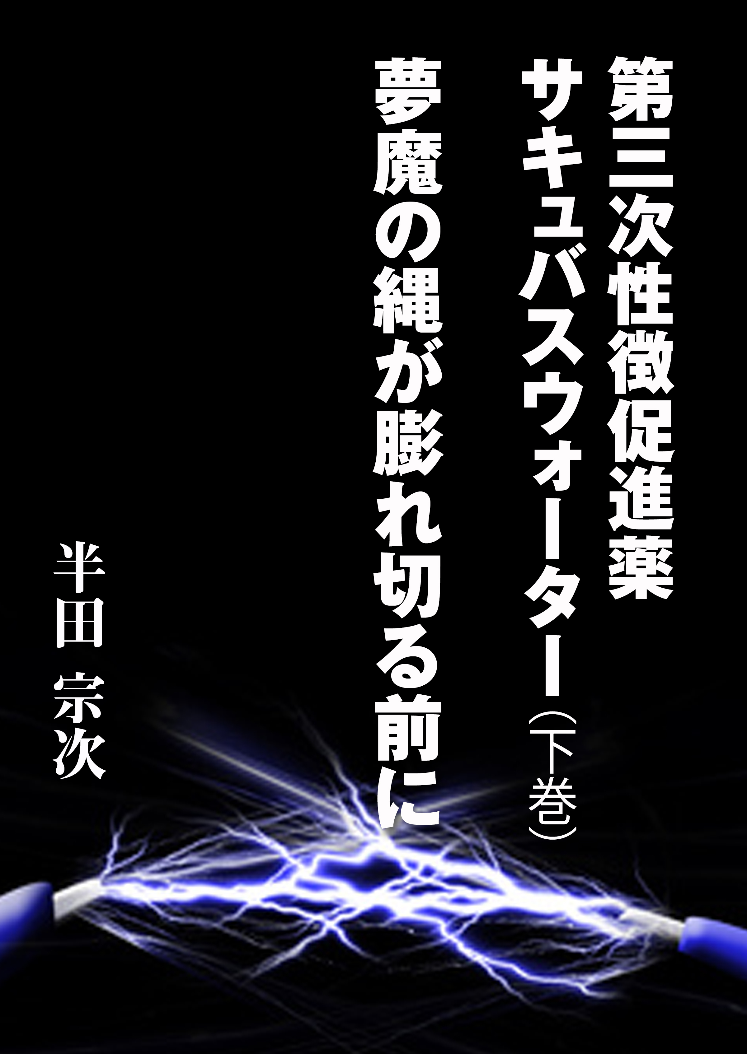 第三次性徴促進薬　サキュバスウォーター（下巻）　夢魔の縄が膨れ切る前に
