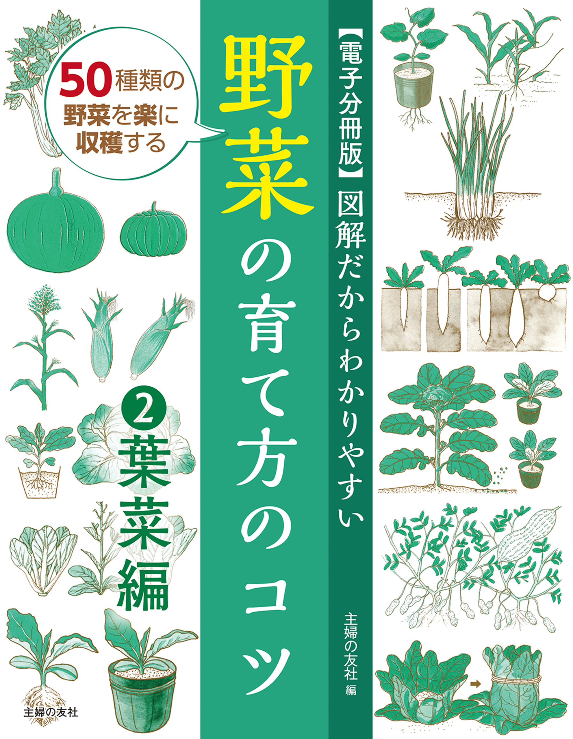 【電子分冊版】図解だからわかりやすい　野菜の育て方のコツ②葉菜編
