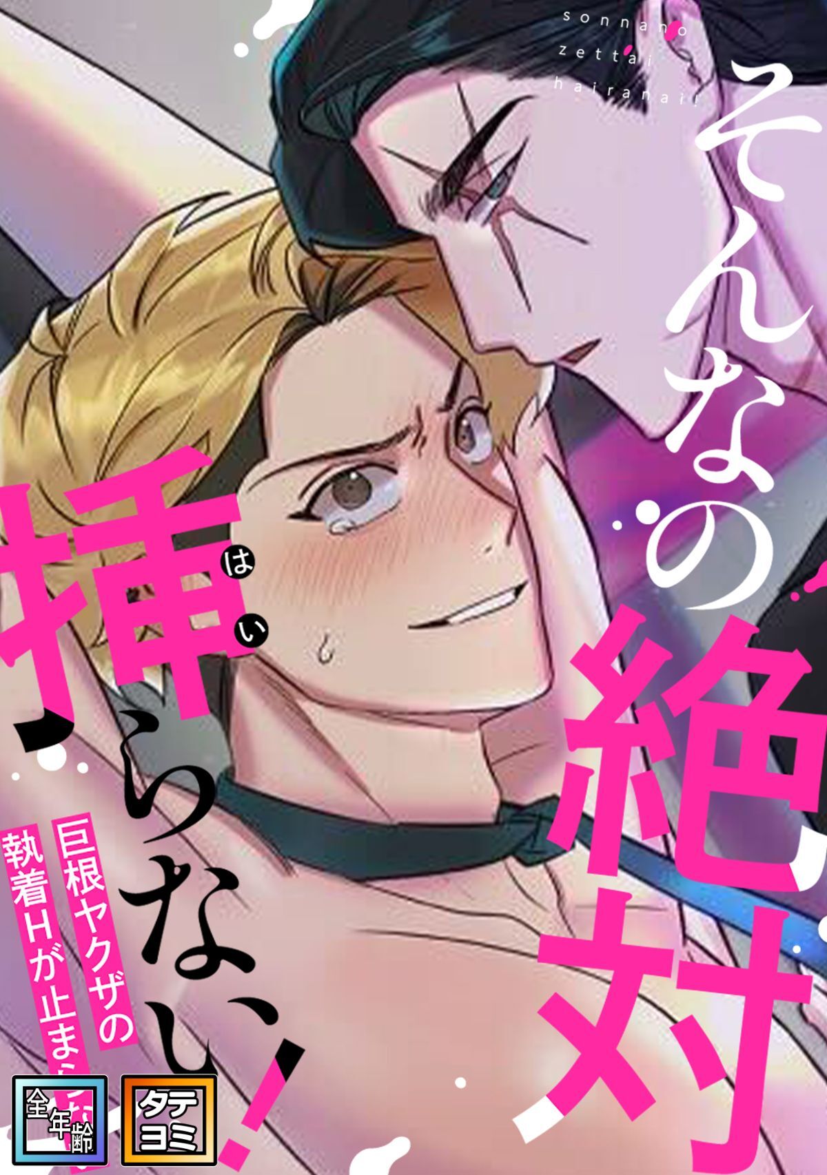 そんなの絶対挿(はい)らない！～巨根ヤクザの執着Hが止まらない【全年齢版】【タテヨミ】