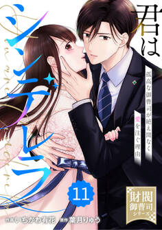 comic Berry's 君はシンデレラ~孤高な御曹司が絶え間なく愛を注ぐ理由~【財閥御曹司シリーズ】(分冊版)