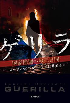 ゲリラ 国家崩壊への三日間