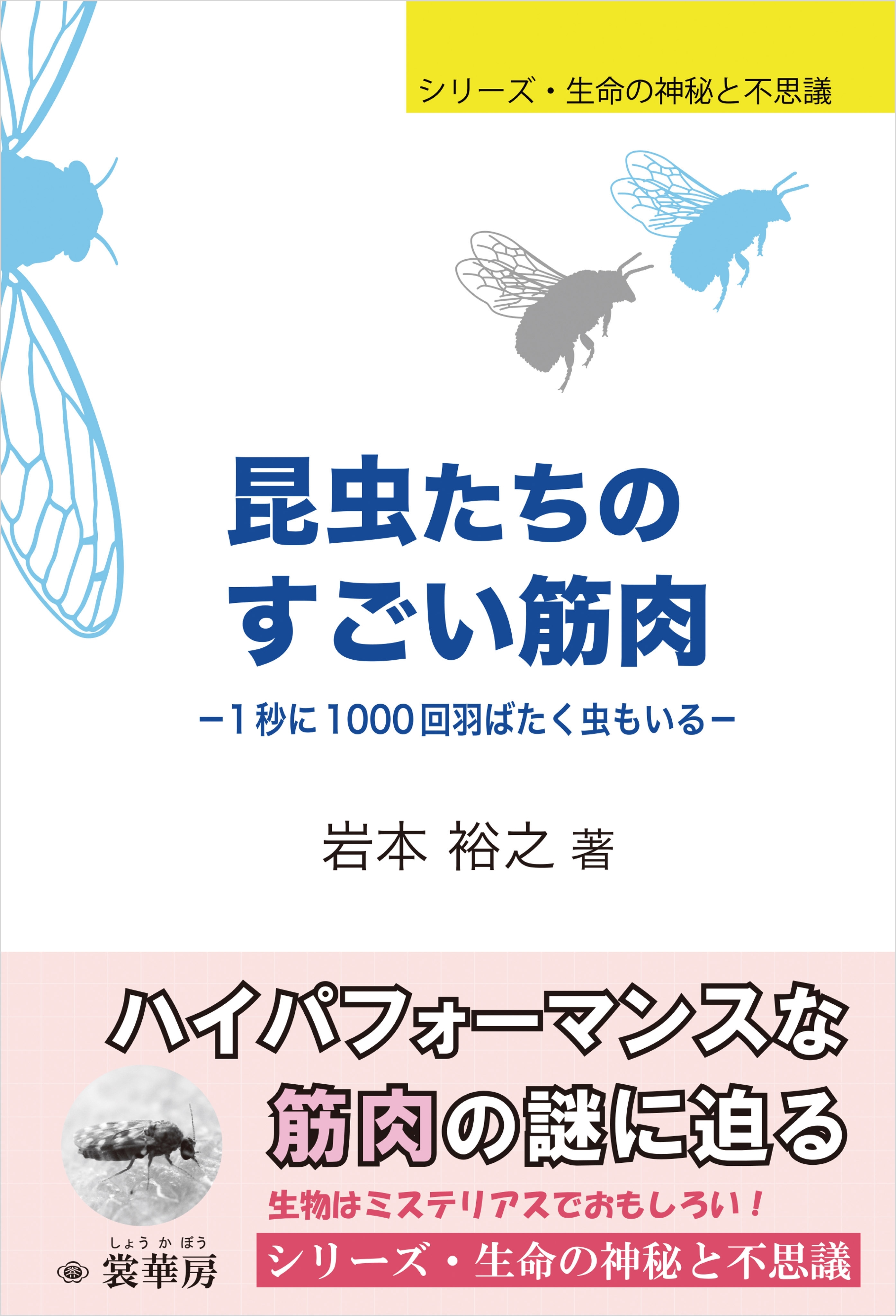 昆虫たちのすごい筋肉