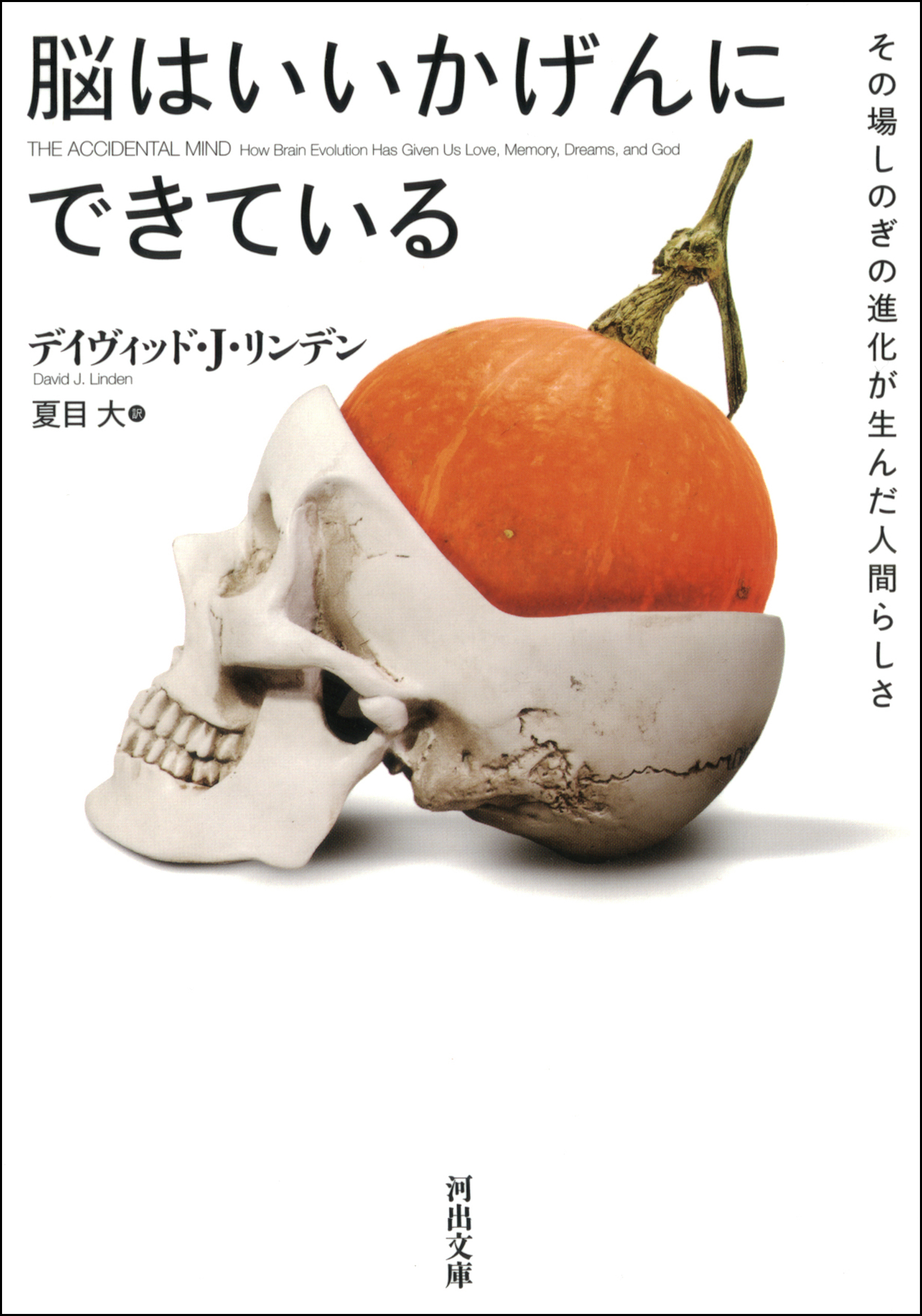脳はいいかげんにできている　その場しのぎの進化が生んだ人間らしさ