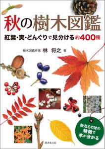 秋の樹木図鑑