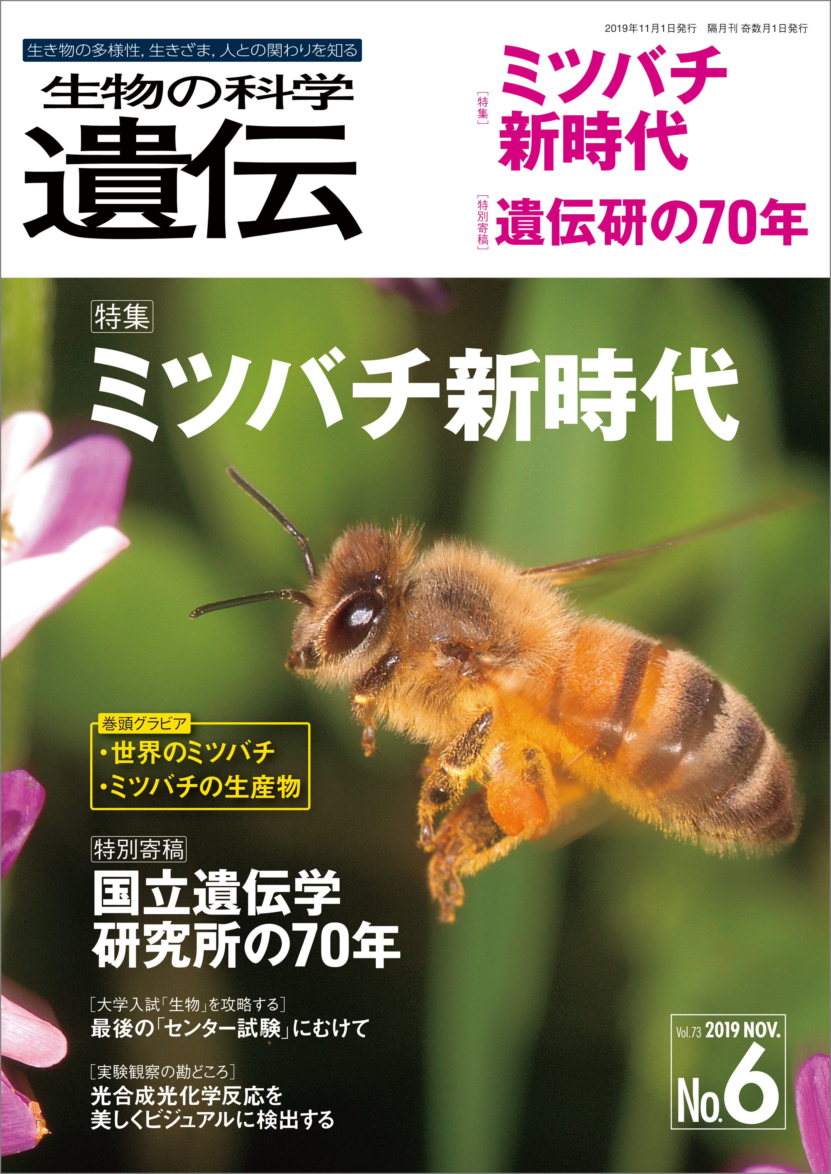 生物の科学 遺伝 2019年11月発行号 Vol.73 No.6