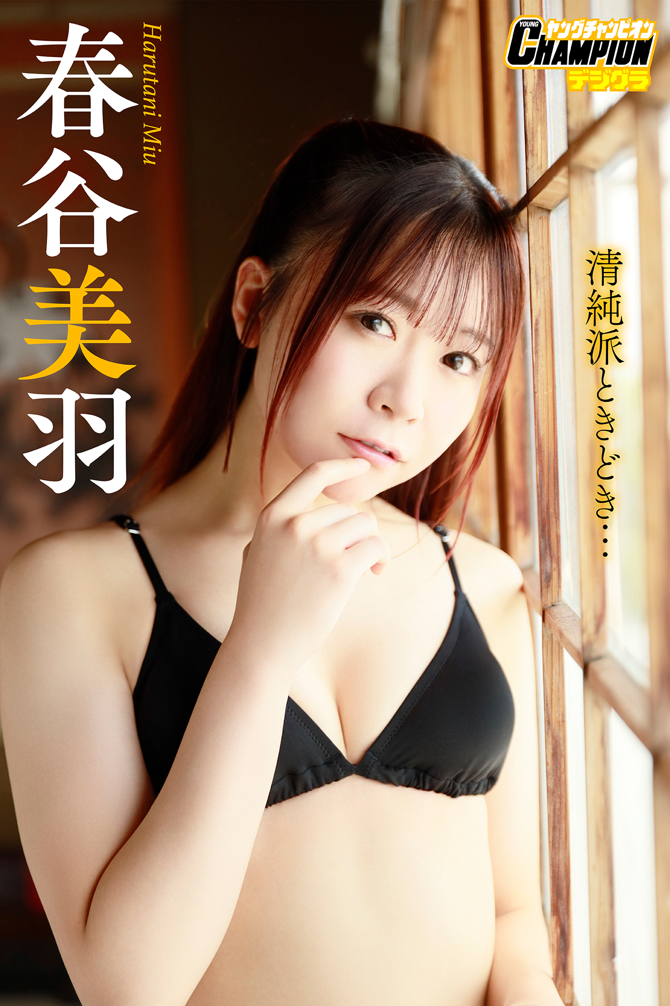春谷美羽「清純派ときどき…」【ヤングチャンピオンデジグラ】